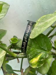 Nade Ali Zulfiqar Cuff Kara